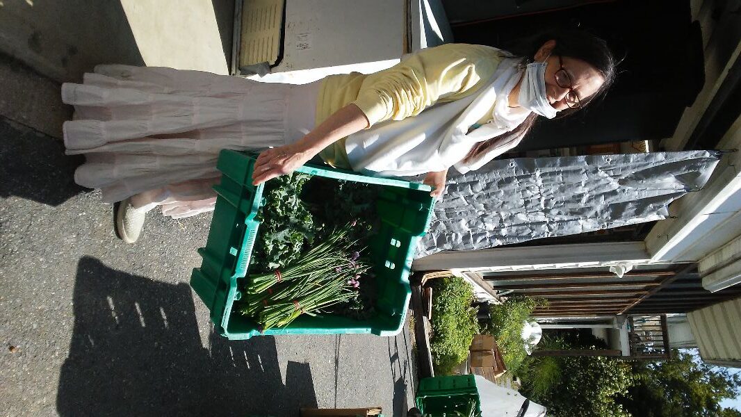 Woman holding a crate of fresh herbs at community farm.
