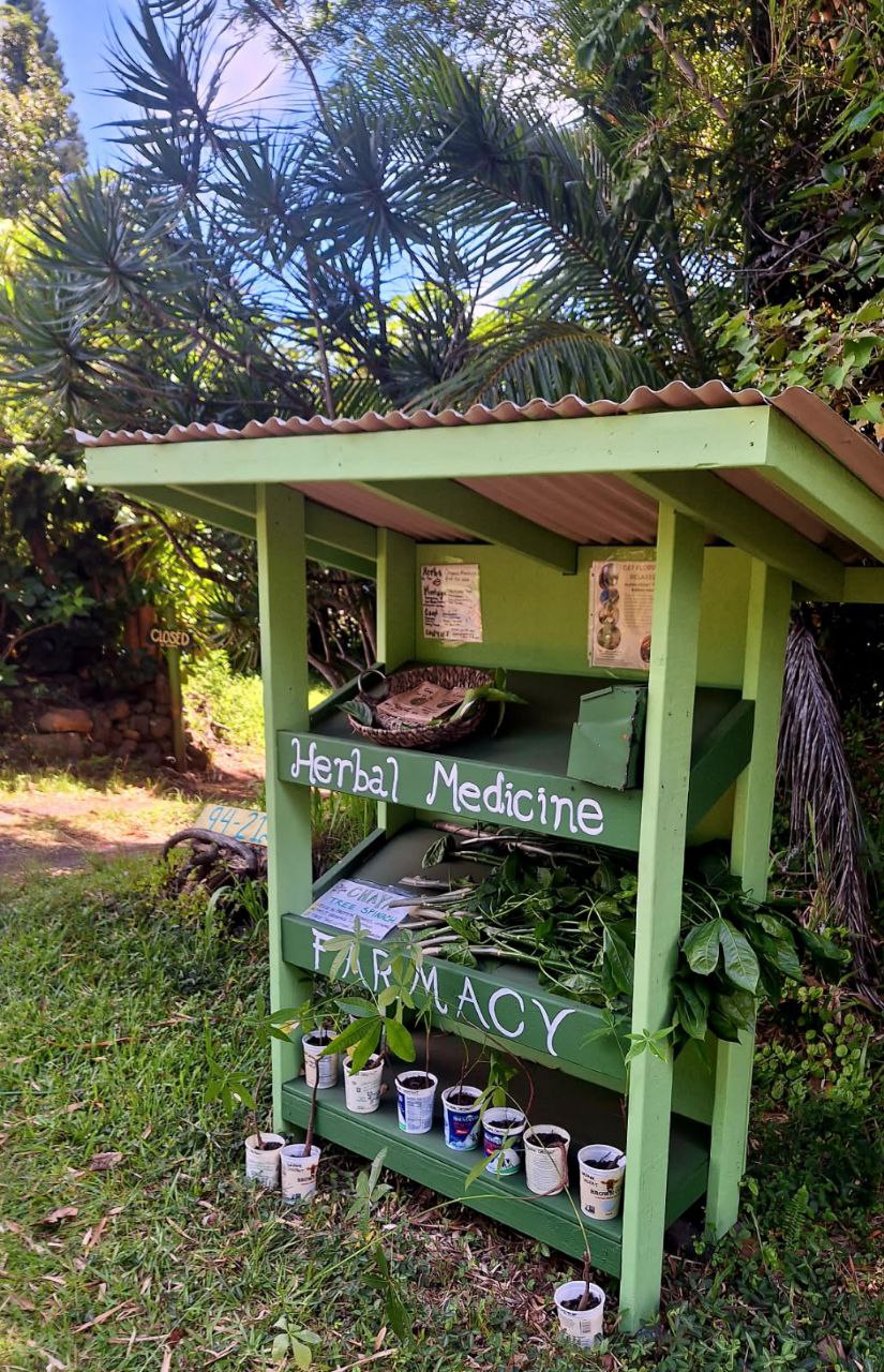 Herbal medicine and pharmacy stand at Foundation for Intentional Community.