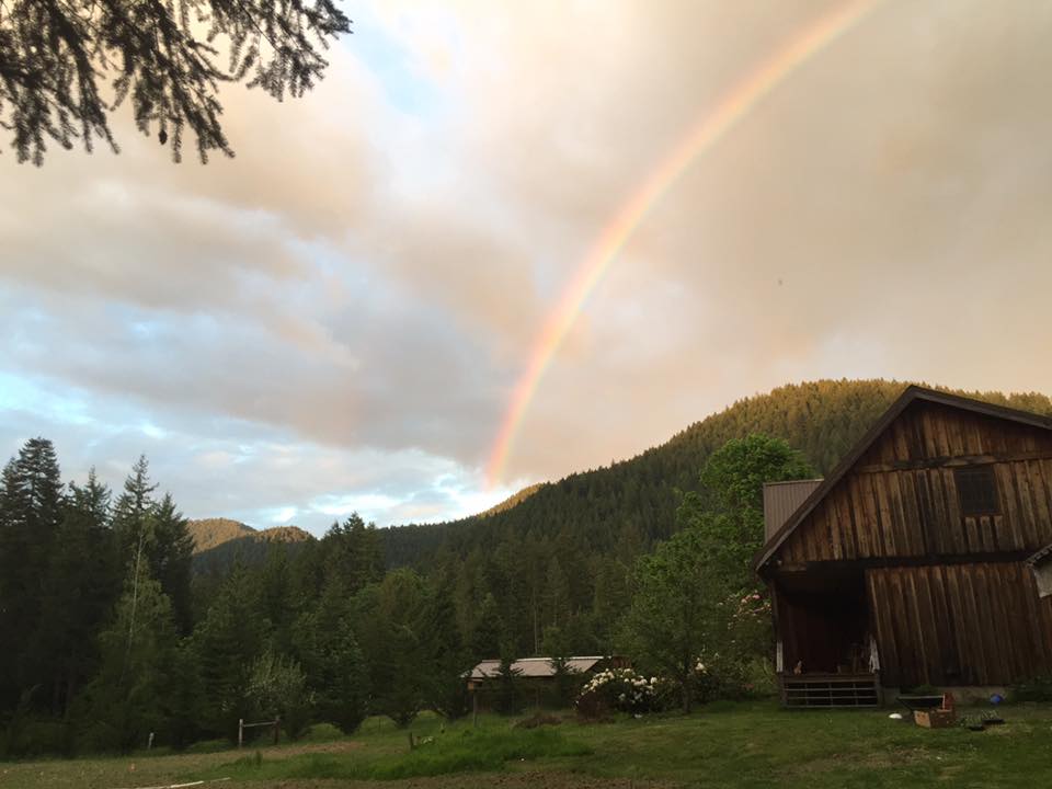 Rainbow arching over lush green forest and wooden cabin.