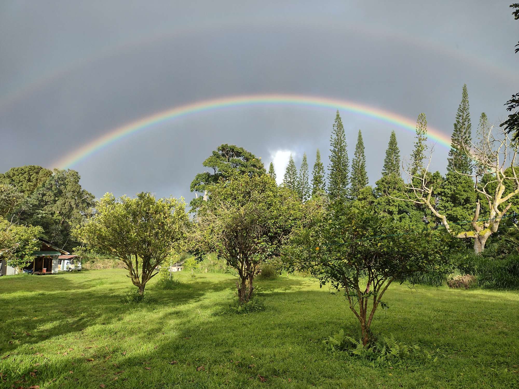 Double rainbow over green trees and open grassy area in community setting.