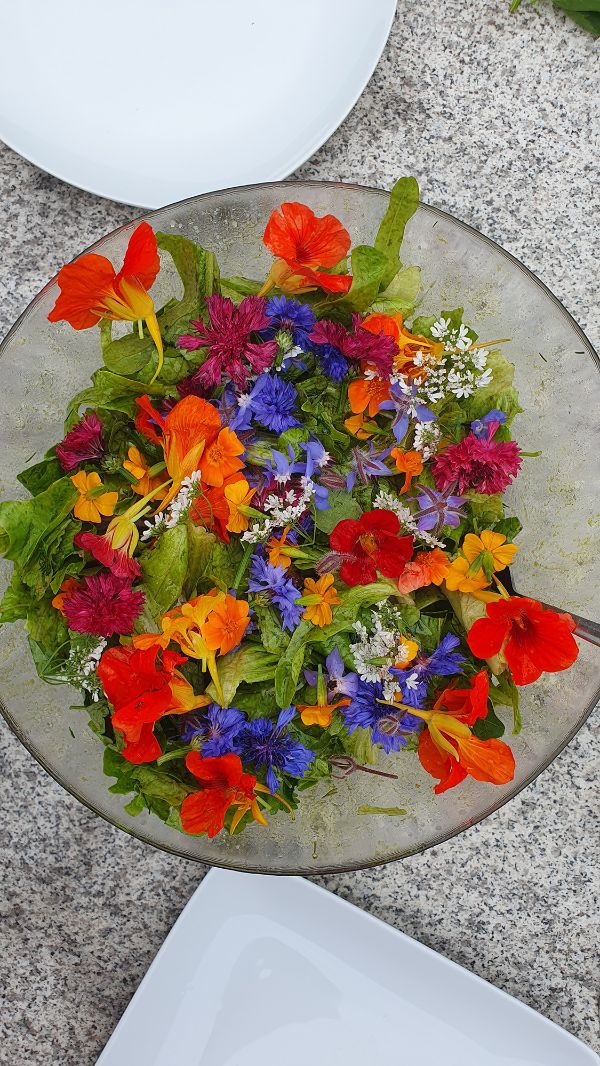 Vibrant edible flowers in a glass bowl for culinary use.