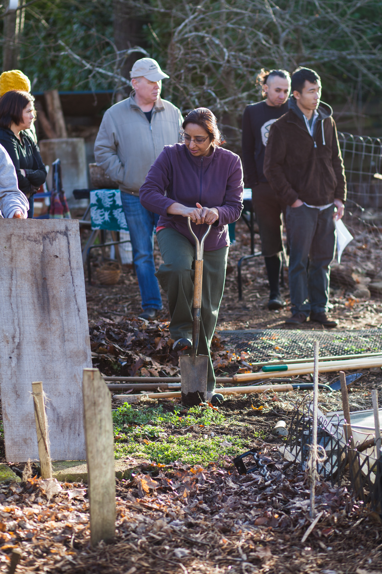 People working together in a community garden at Foundation for Intentional Community.