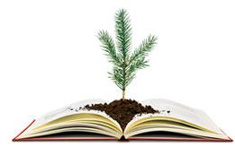 Open book with soil and a small pine tree sprouting from it.