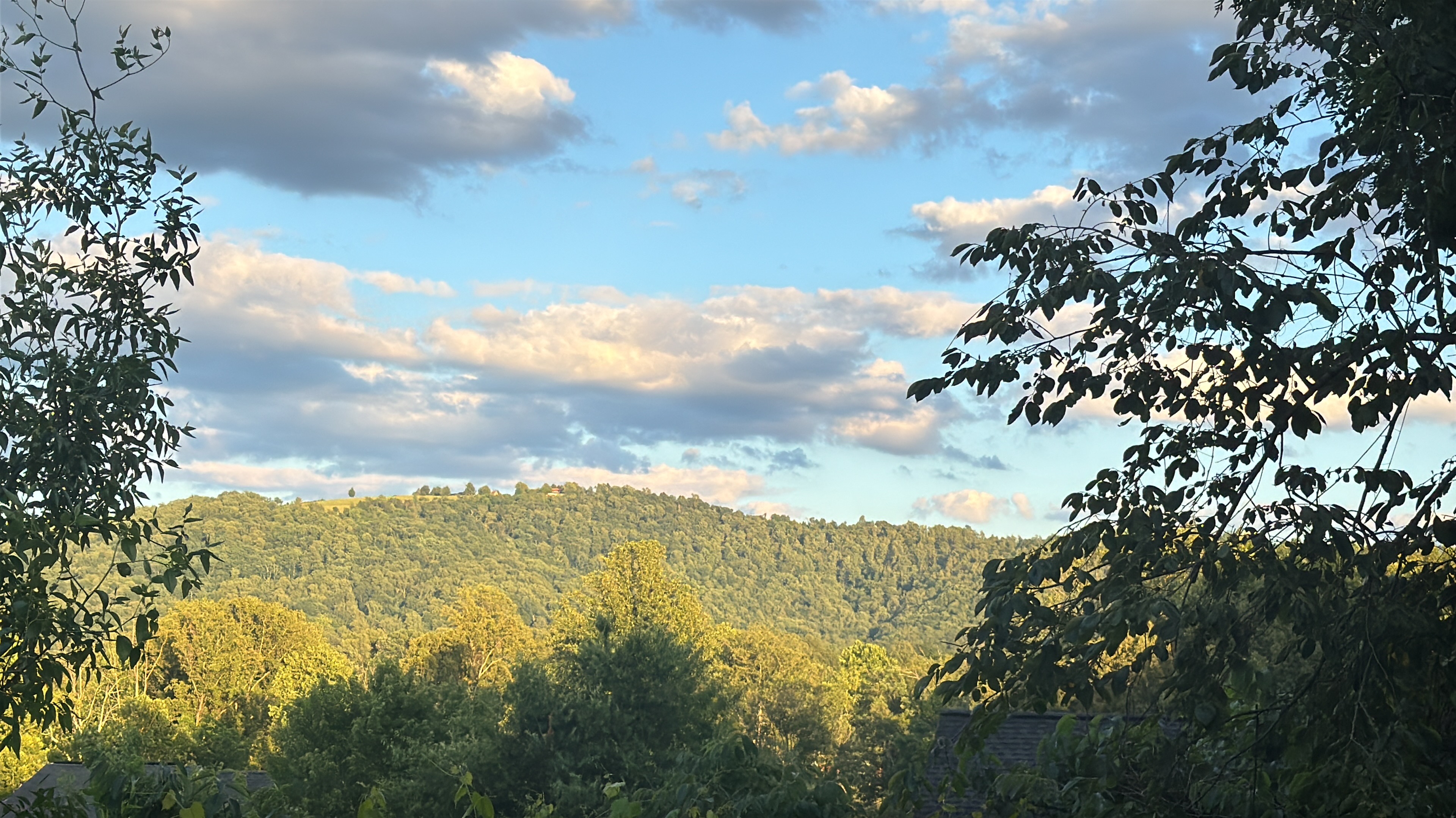 Scenic view of trees and hills with a partly cloudy sky.