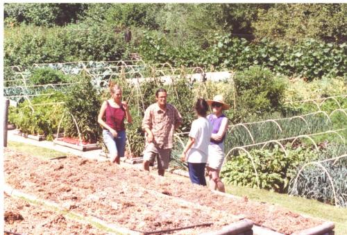 People working together in a community garden with lush greenery and vegetable beds.