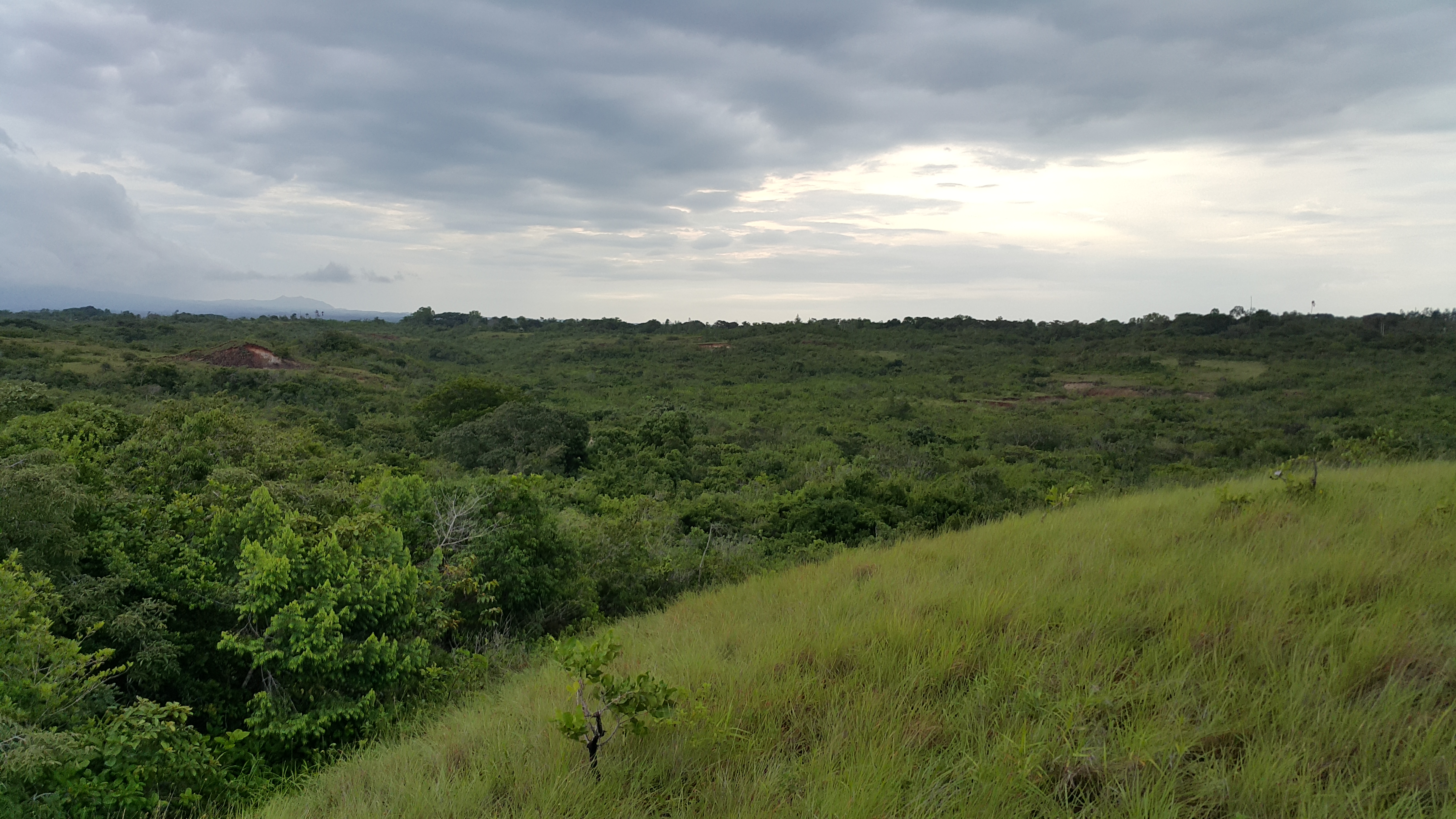 Lush green landscape of Panama EcoVillage with cloudy sky.