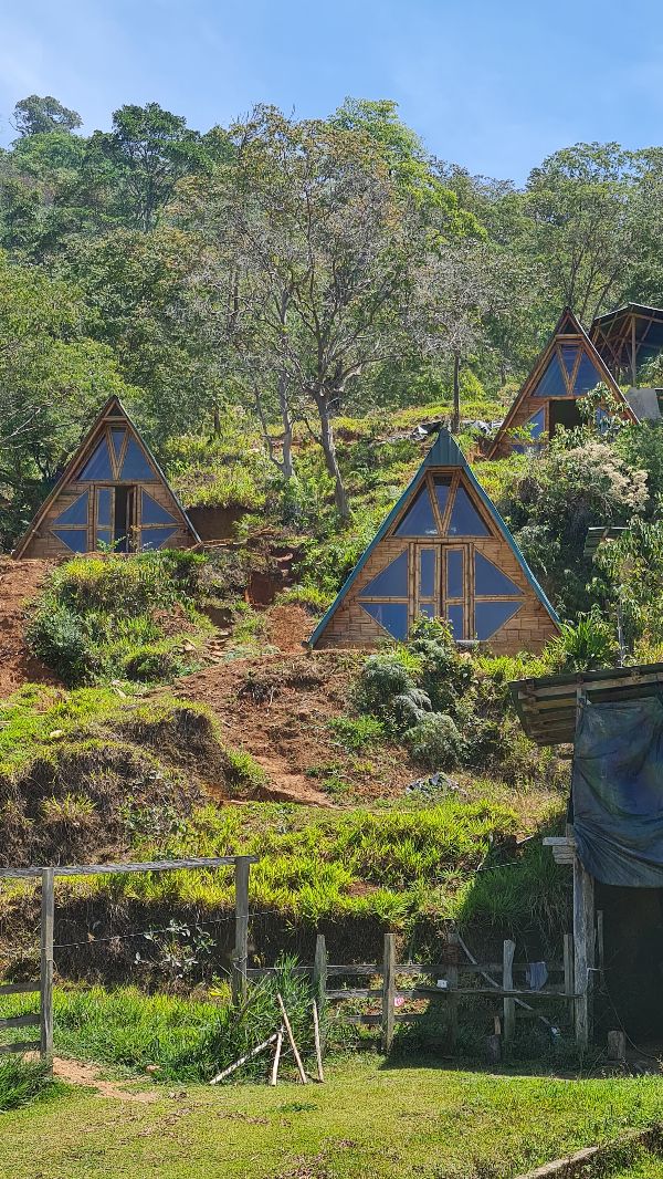 A-frame cabins on a hillside surrounded by trees and greenery.