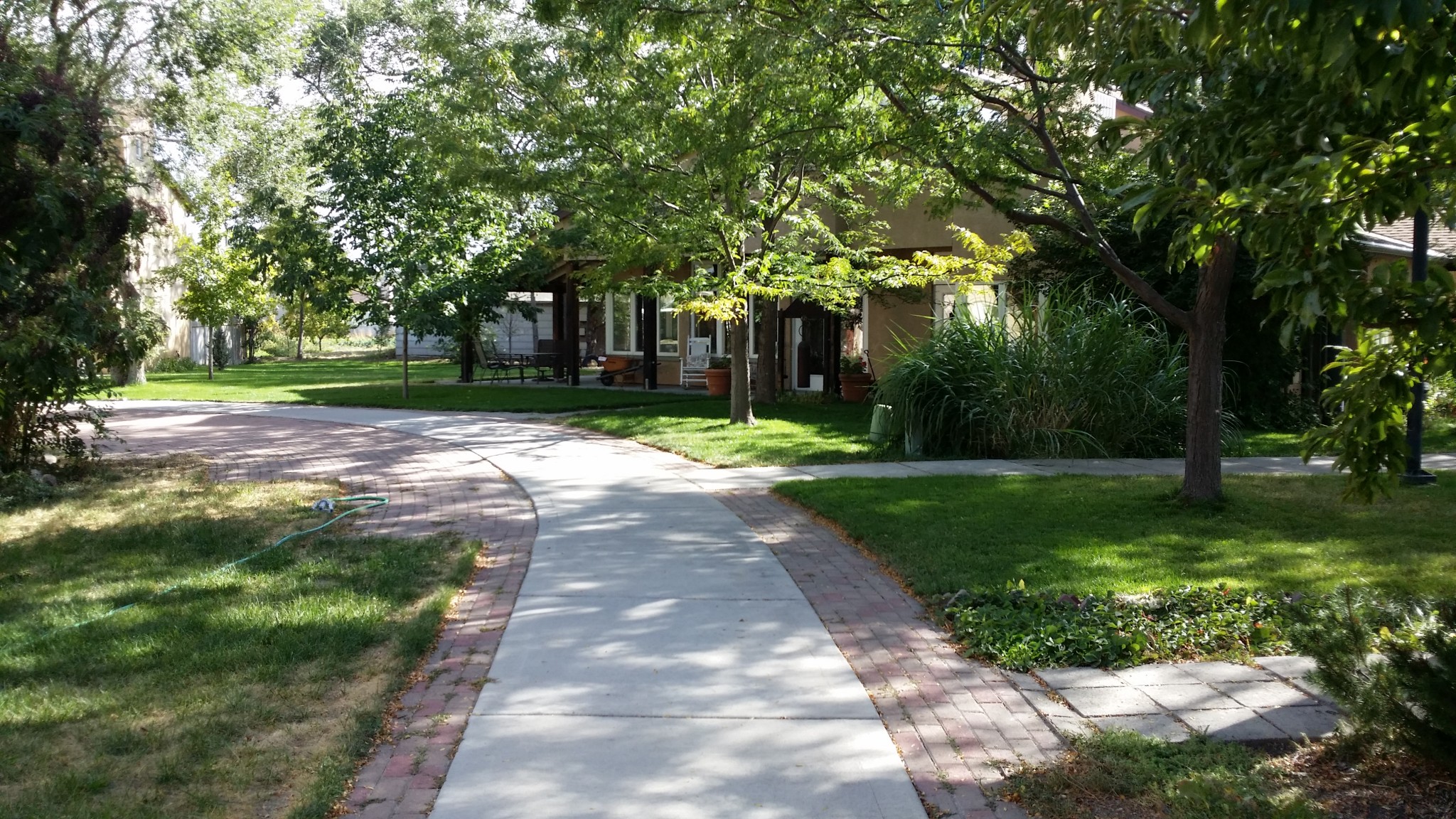 Serene pathway surrounded by lush trees at Wasatch Commons community.