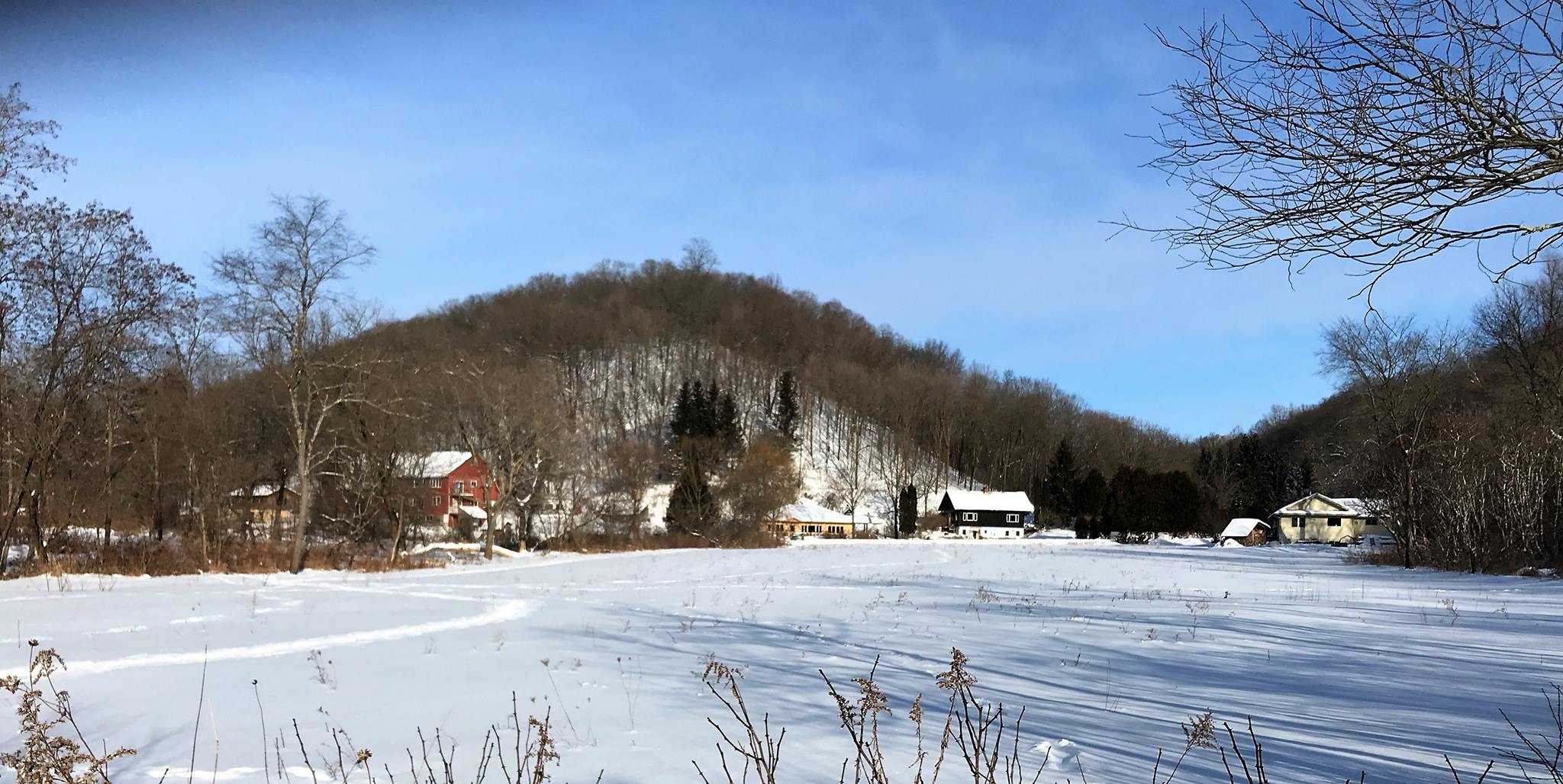 Winter scene with snow-covered fields and trees at Dancing Waters Permaculture Co-.