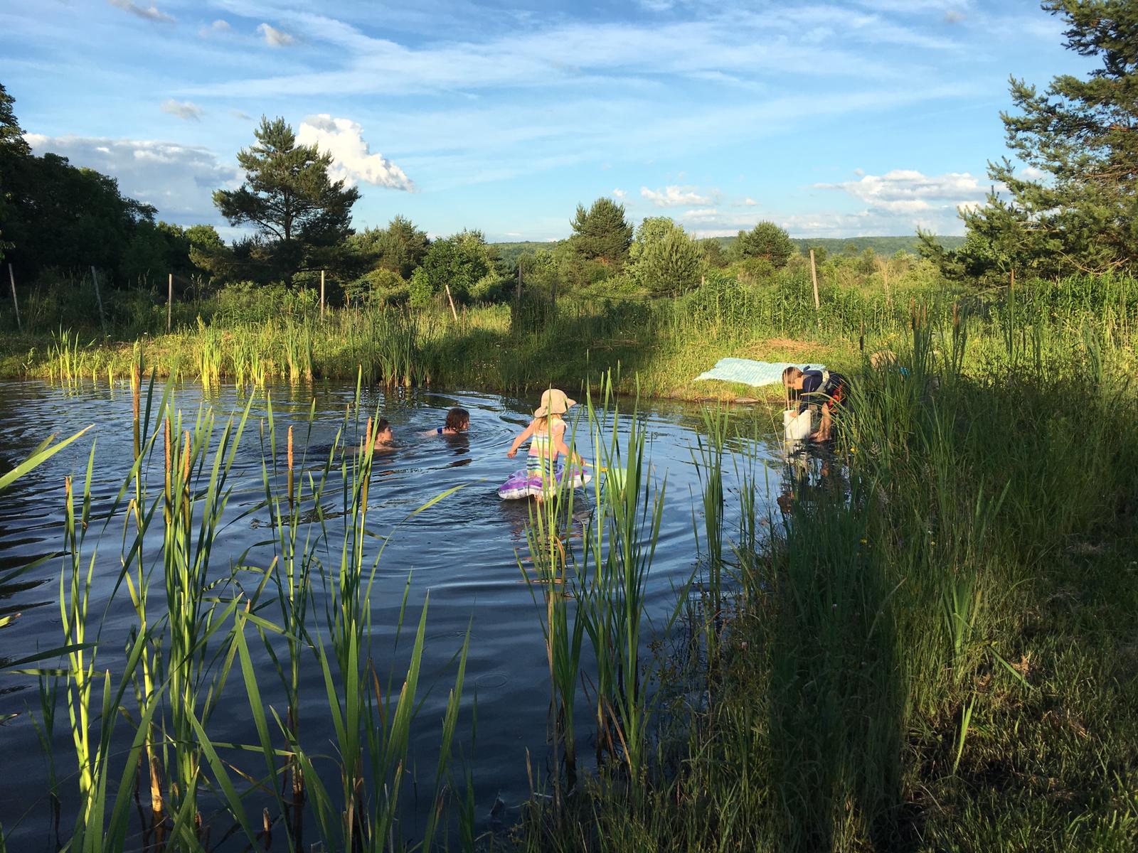 People swimming and relaxing in a natural pond at White Hawk Ecovillage.