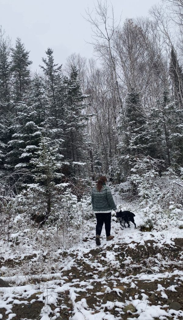 Person walking dog in snowy forest at Lockheart Cooperative.