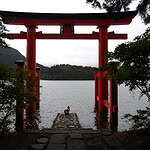 Red torii gate overlooking a lake with a duck in front, surrounded by trees.