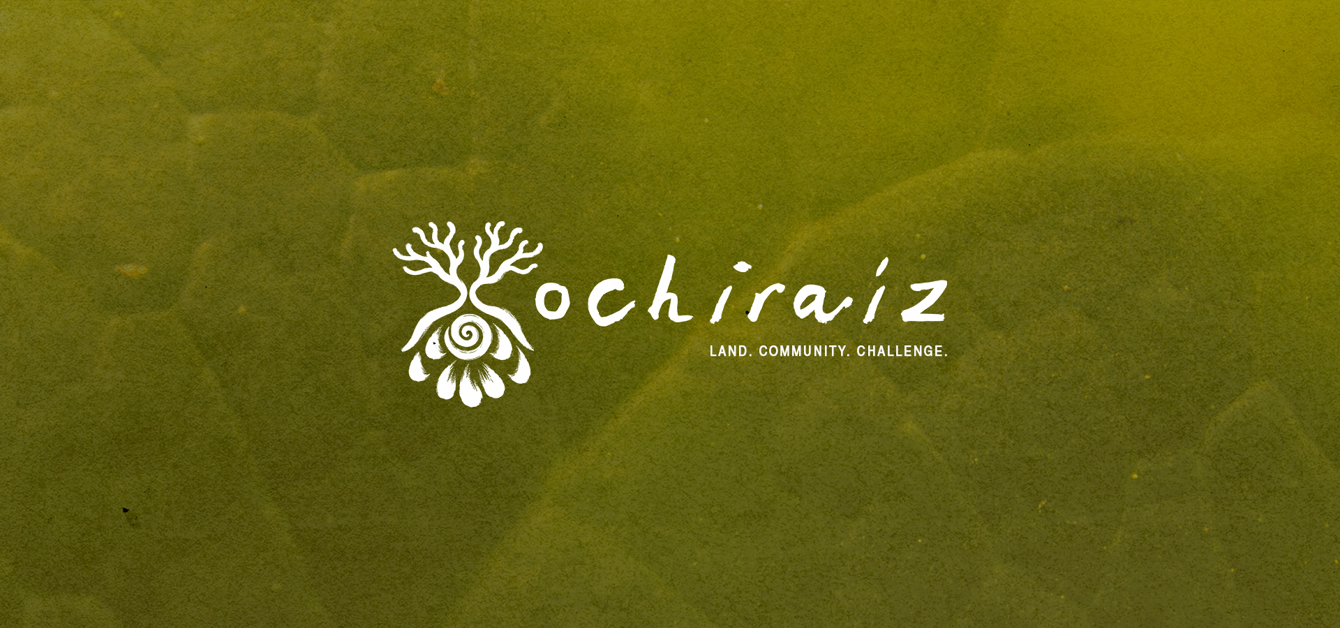 OchiraiZ logo with tree and community challenge text on green background.