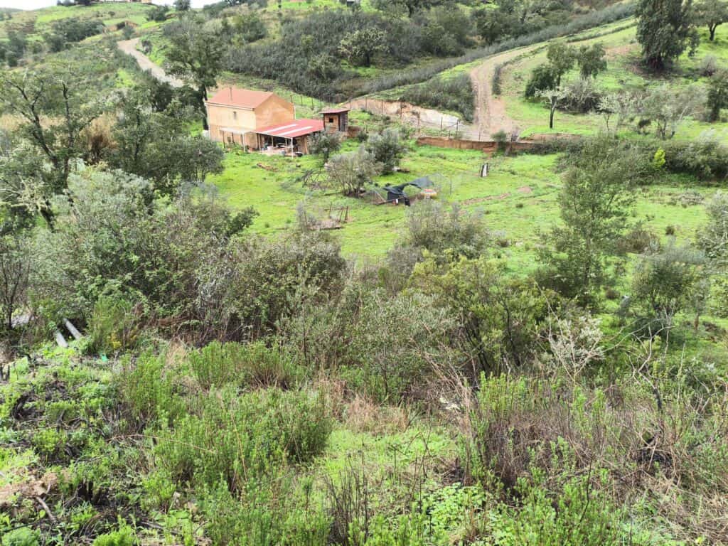 Scenic view of a farm with buildings and lush greenery in Portugal.
