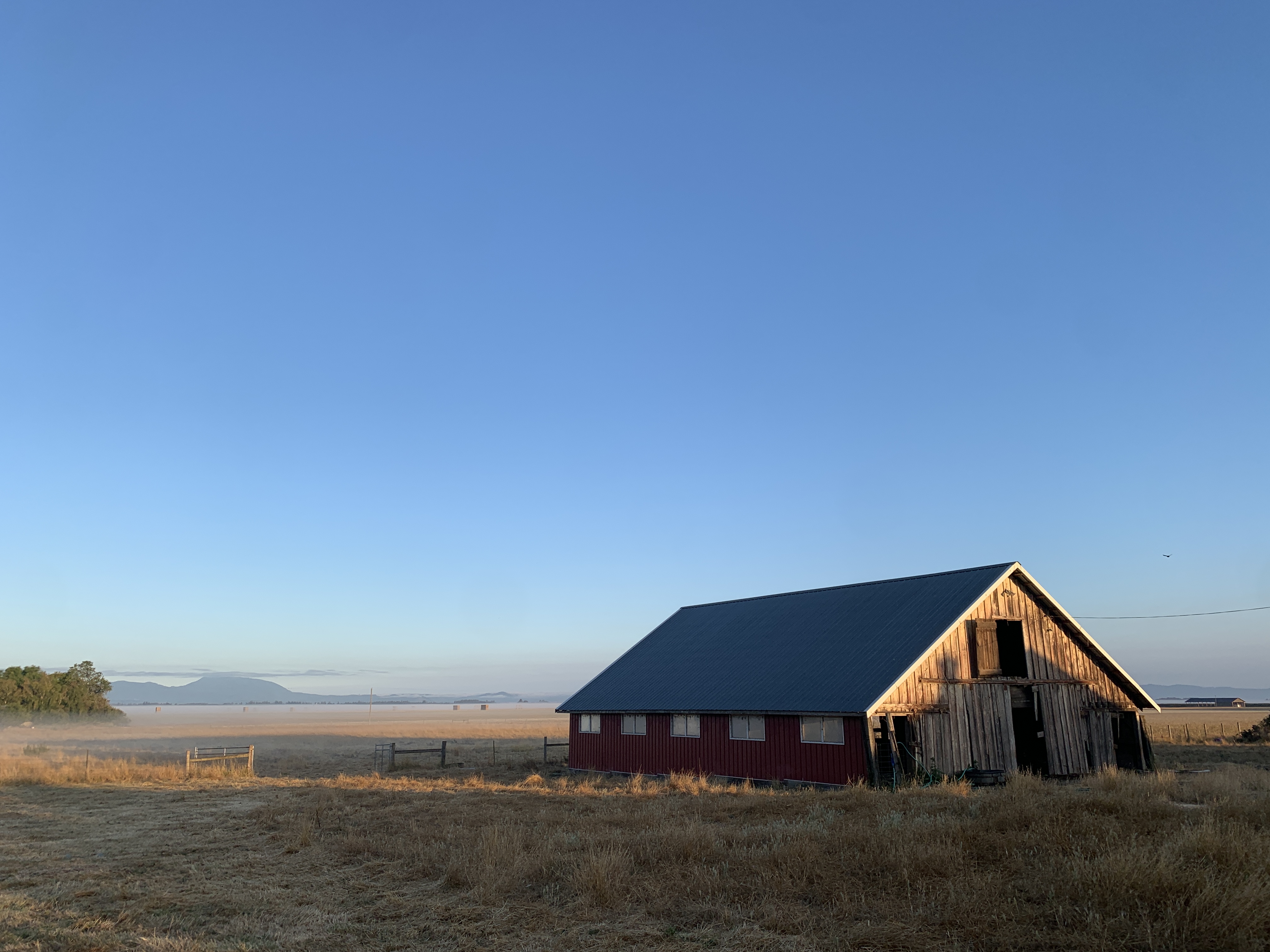 Red barn in open rural landscape with clear blue sky.