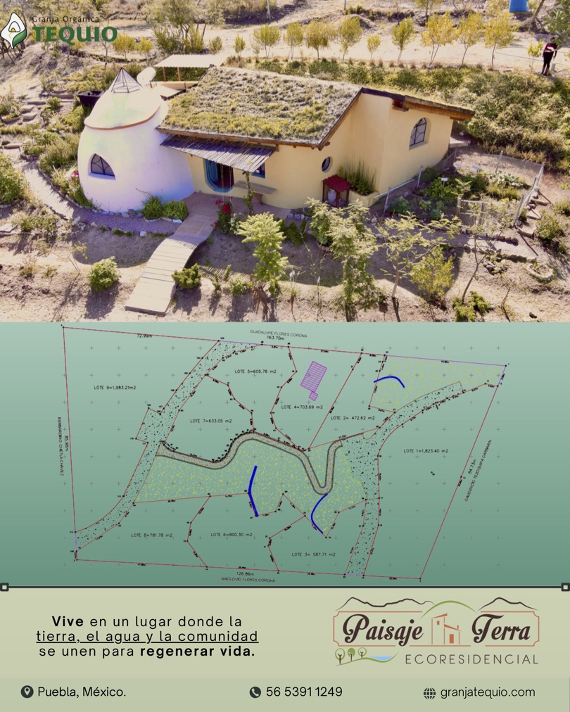 Eco-friendly community house with sustainable design and garden in Mexico.