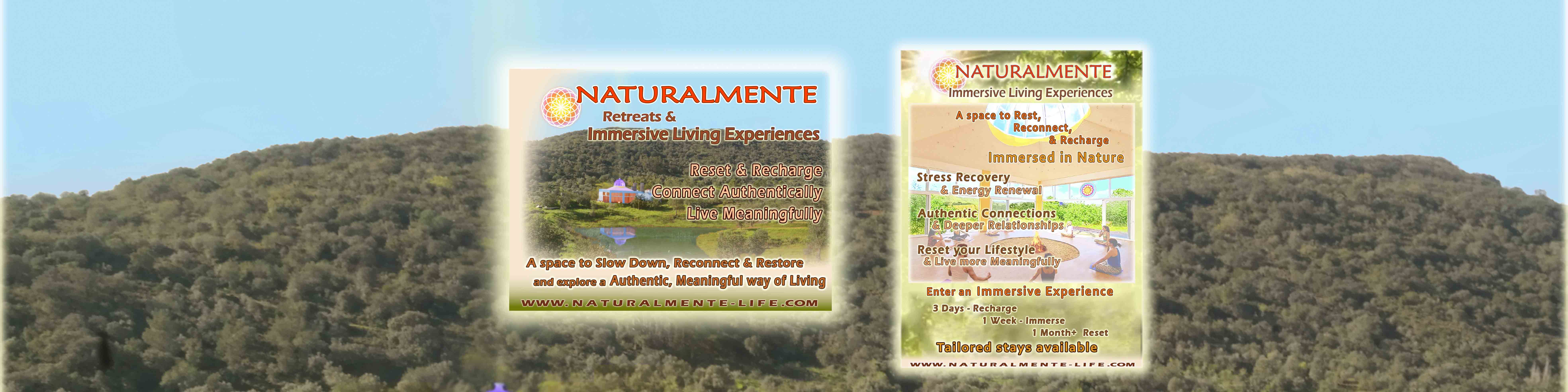 Foundation for Intentional Community logo with eco-friendly design and vibrant colors.