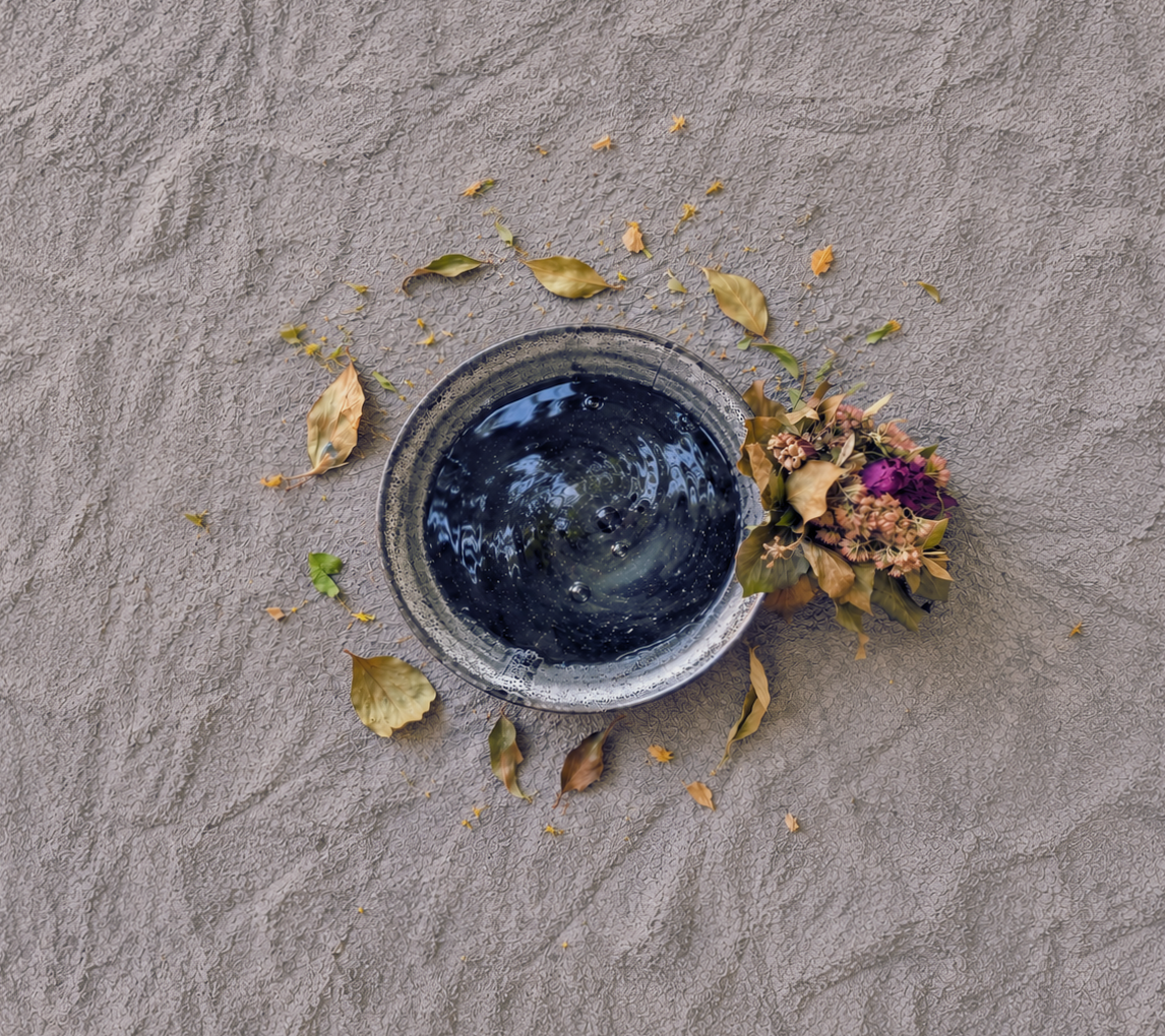 A water bowl on sandy ground surrounded by dried leaves and flowers.