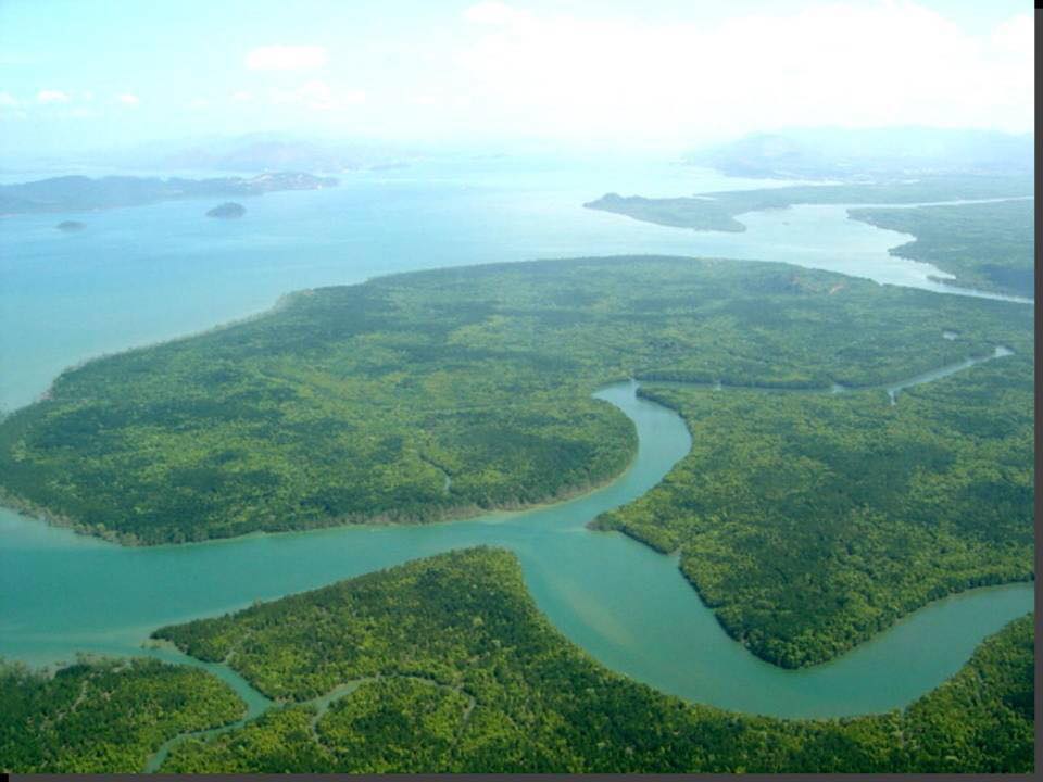 Aerial view of a lush green river island with winding waterways.