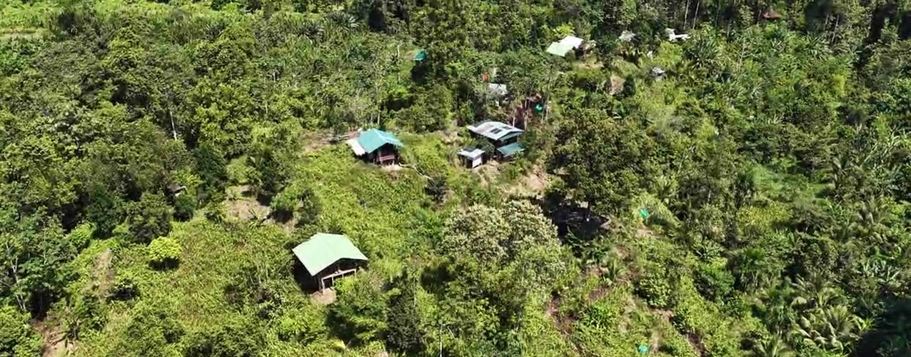 Aerial view of Valle Armonia intentional community surrounded by lush greenery.