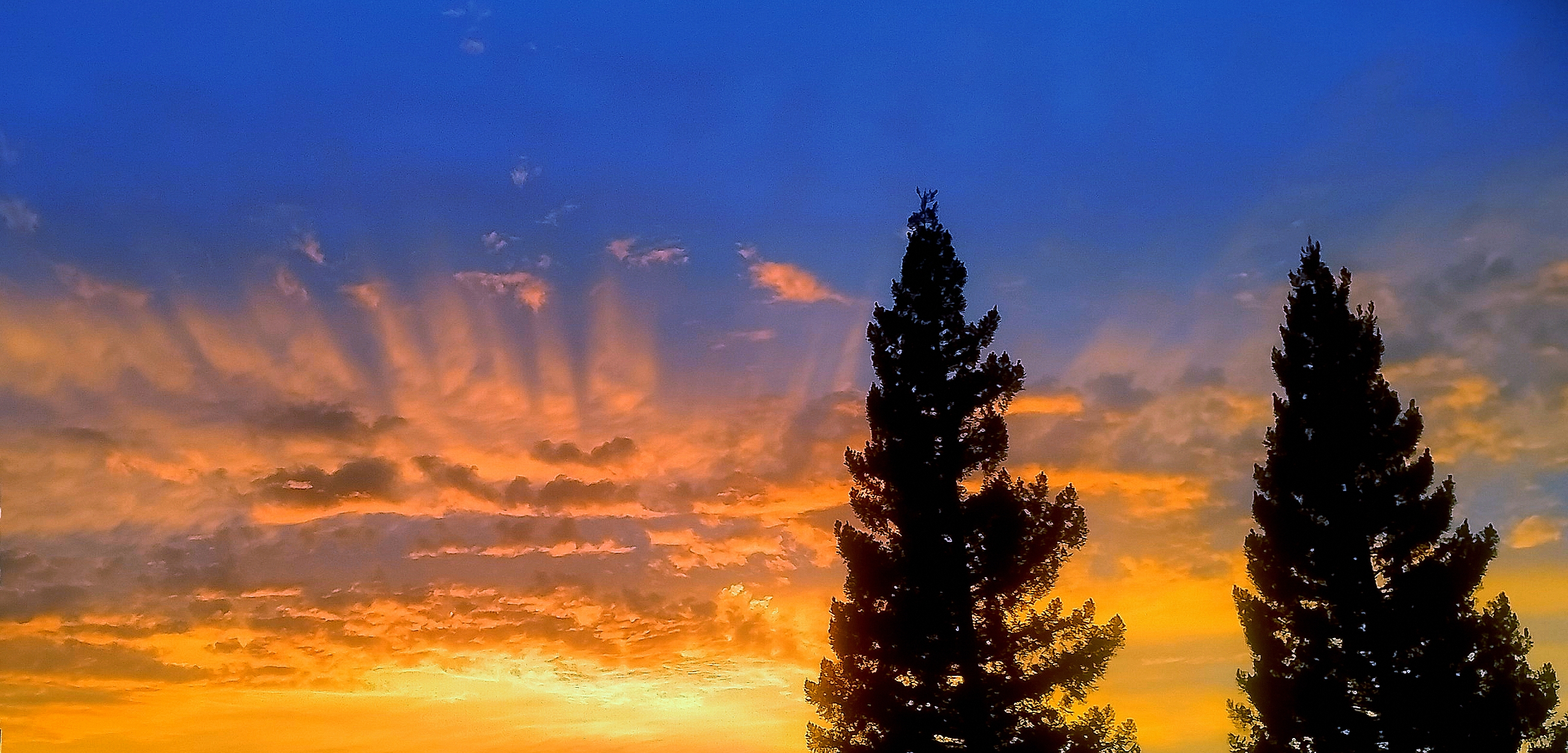 Beautiful sunset with vibrant orange and blue sky over tall trees.