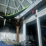 Indoor community space with hammock, wooden tree structure, and equipment.