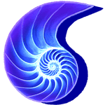 Blue nautilus shell with glowing spiral pattern for SEO.