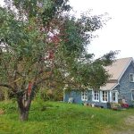 Queer Poly Neurodivergent Community in Montreal Quebec Canada