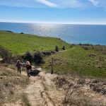 Skovby-- A Village for Families