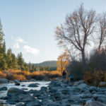 Coho Truckee