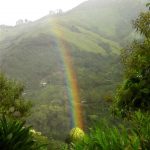 Sanctuary Abundancia