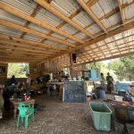 Emberfield HeArt Collective Ecovillage