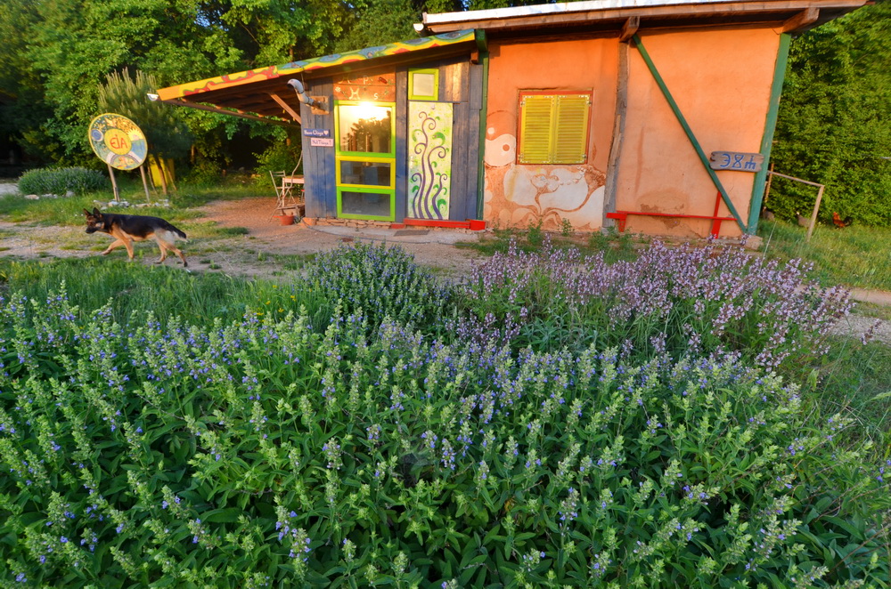 Holistic Homesteading Ecovillage!