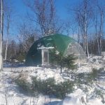 Temple Mountain Permaculture