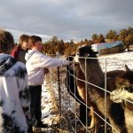 Synchronicity Agriforestry Center