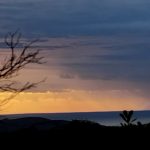 Yacca Creeks Pty Ltd