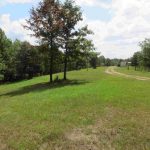 Forest Ridge Community