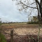 Gay Men's Rural Community