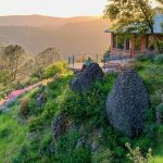 Wild Grace Community