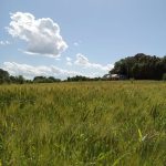 Natural Materials Farm