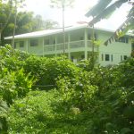 Permaculture in Paradise