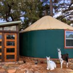 Frog Acres - Inactive