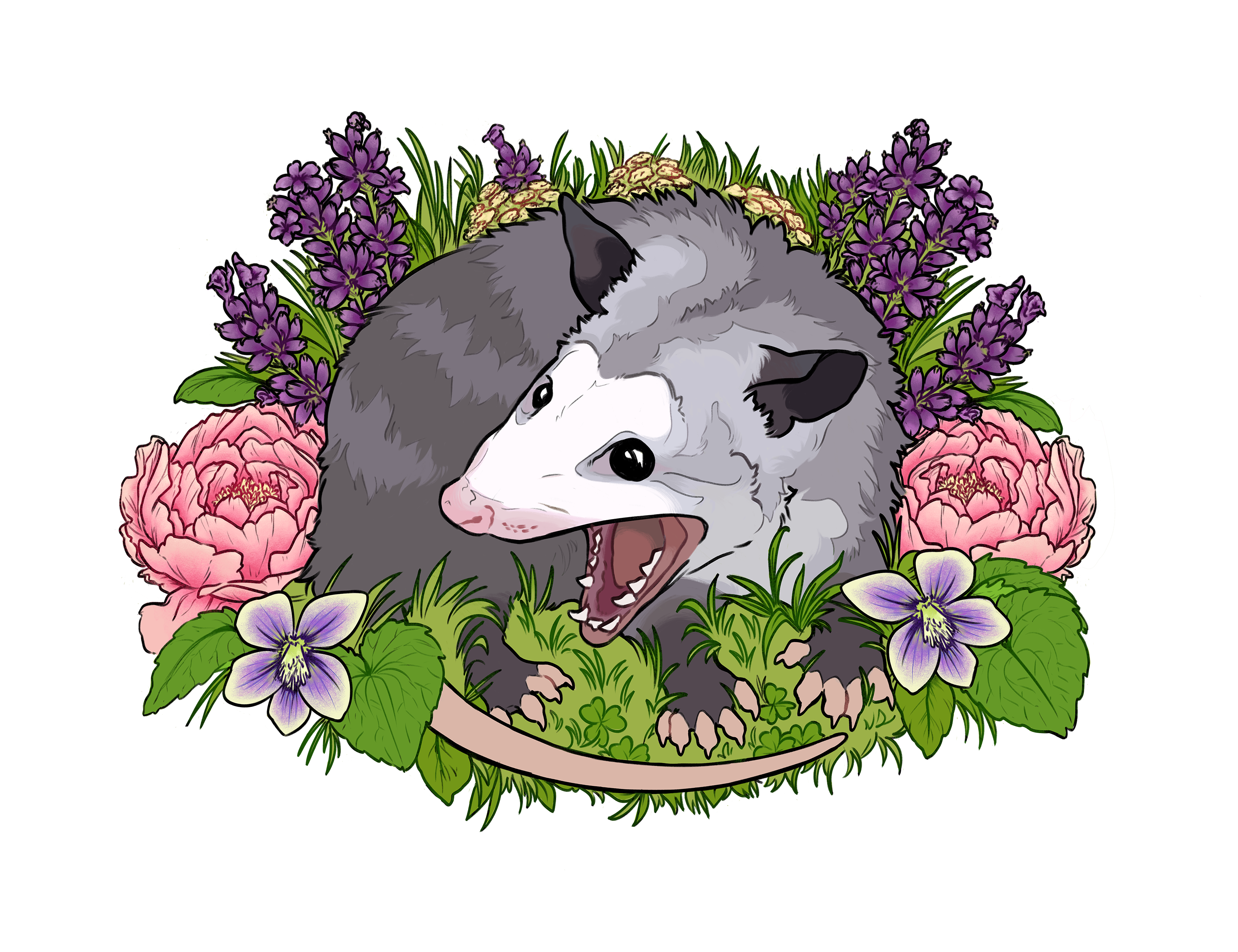 Perennial Possum Collective