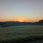 Burns Village & Farm