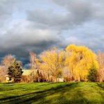 Ten Stones Community