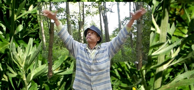 Freedom Gardens Poland