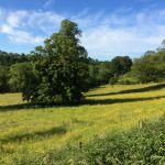 Earth Heart Housing Cooperative