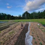 Graham Downs Community Farm