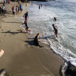 Urban Kibbutz of San Diego