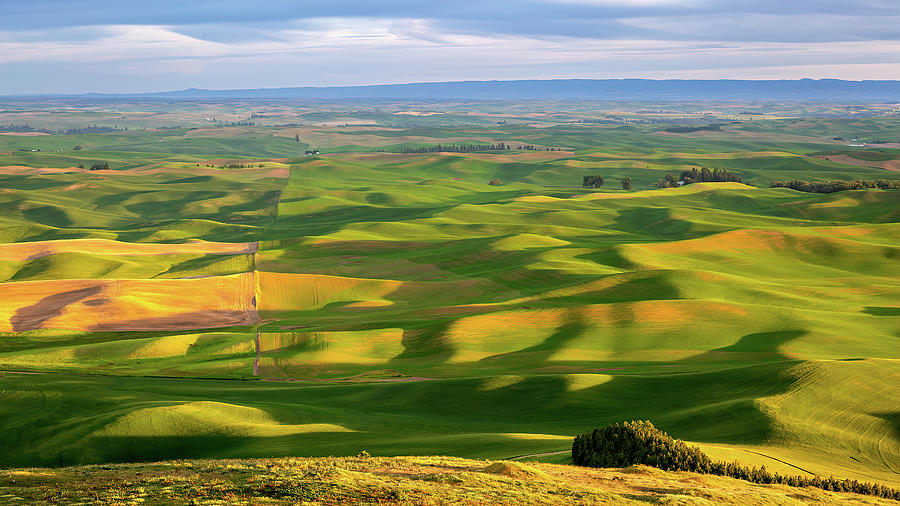CoyoteHills / Tribe Life Palouse Sustainable Living Community